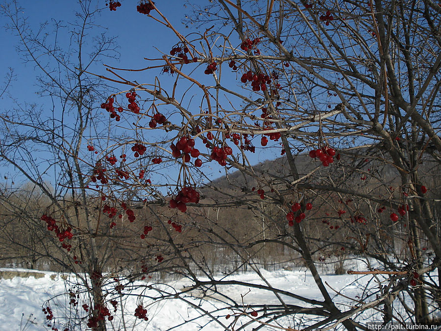 Пейзаж в парке Штыково, Россия Пейзаж в парке Штыково, Россия