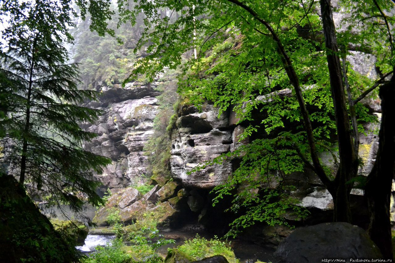 В Национальном парке Чешская Швейцария Чешская Швейцария Национальный Парк, Чехия
