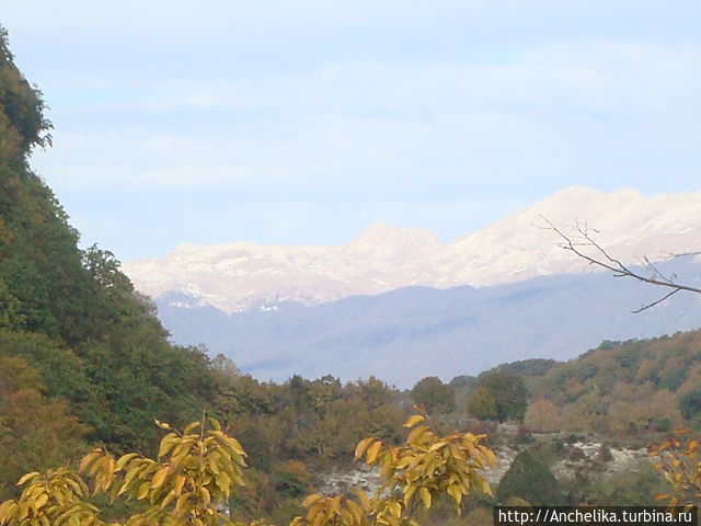Абхазия прекрасна в любое время года. Ноябрь. Абхазия Абхазия прекрасна в любое время года. Ноябрь. Абхазия