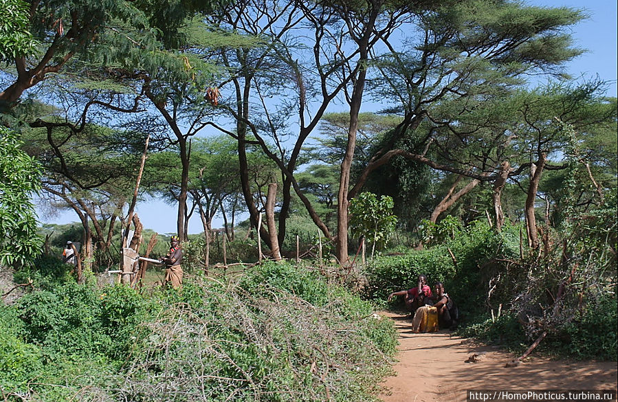 Этнография долины Омо: земля хамеров Турми, Эфиопия