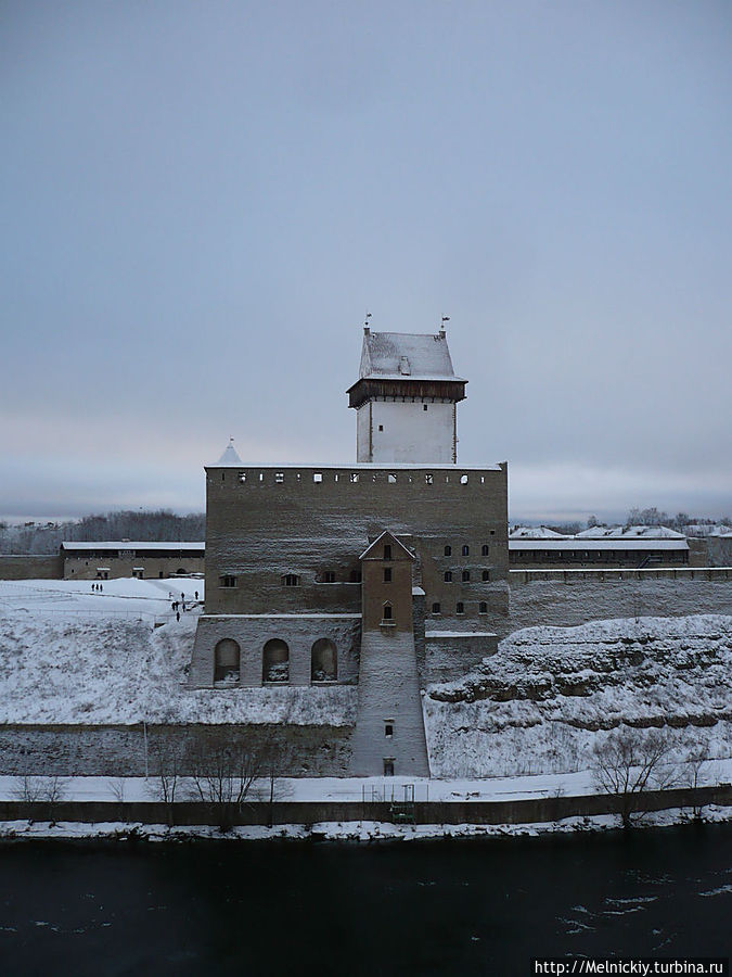 Вид на Нарву со стен Ивангорода Нарва, Эстония
