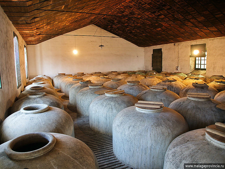 В таких керамических чанах выдержовают молодое вино до 2-х лет Кордова, Испания
