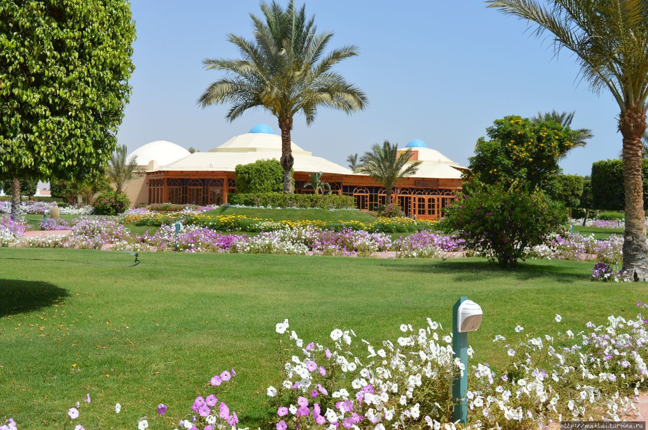 Отель Desert Rose Resort Хургада, Египет