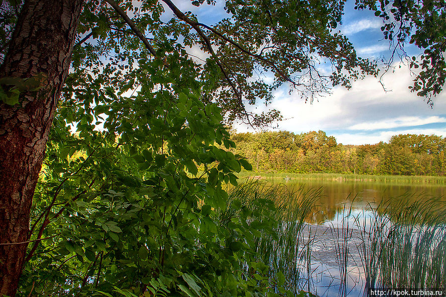Осеннее озеро Подпесочное, Урюпинск Волгоградская область, Россия