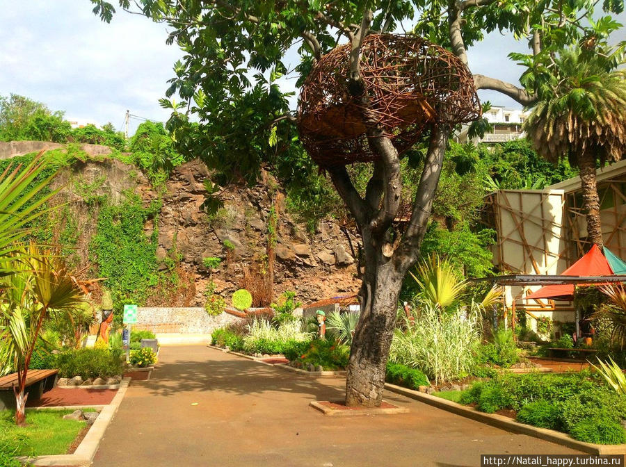 В школьном дворе Сен-Дени, Реюньон В школьном дворе Сен-Дени, Реюньон