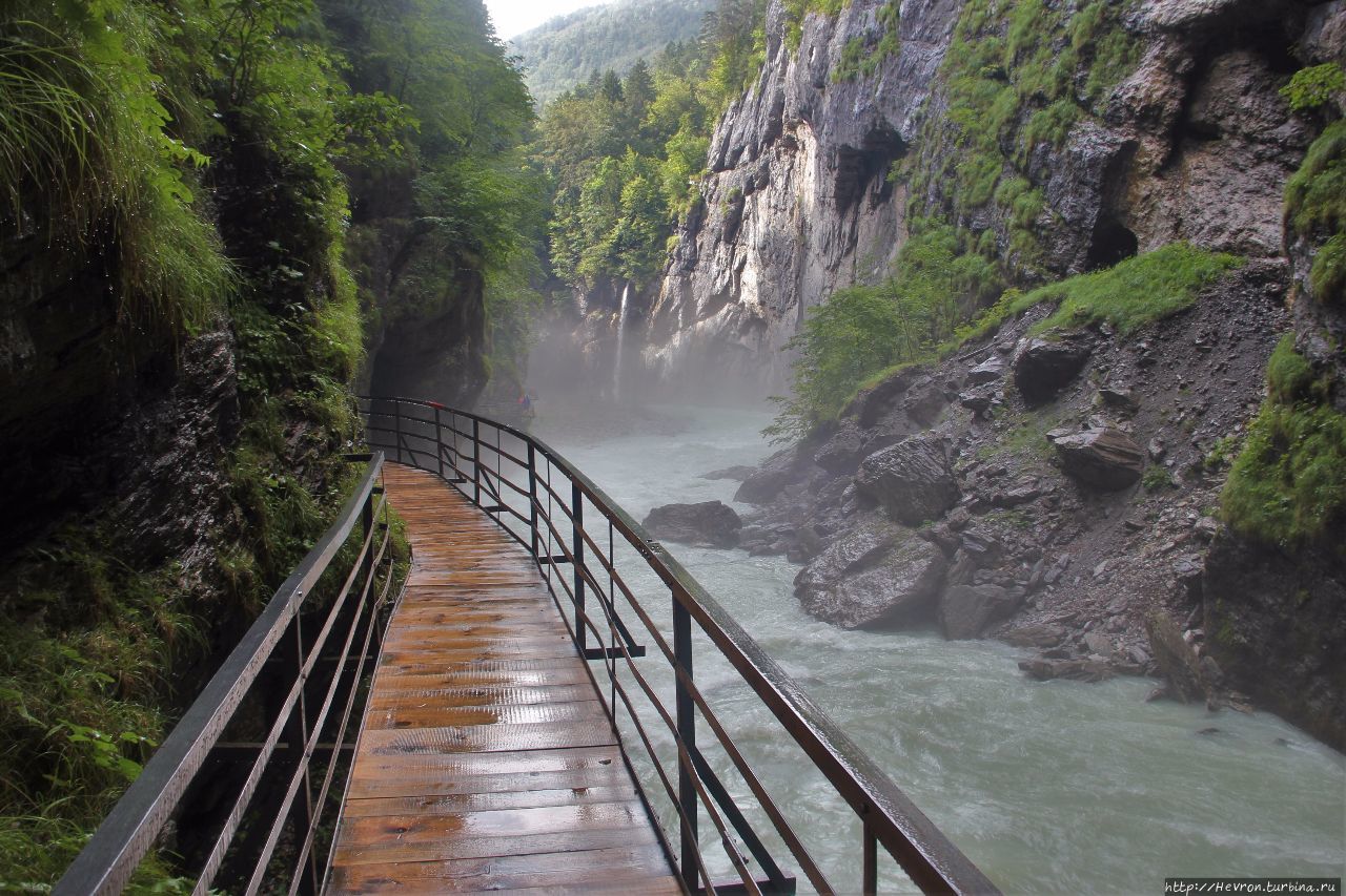 Ущелье реки Ааре / Aareschlucht