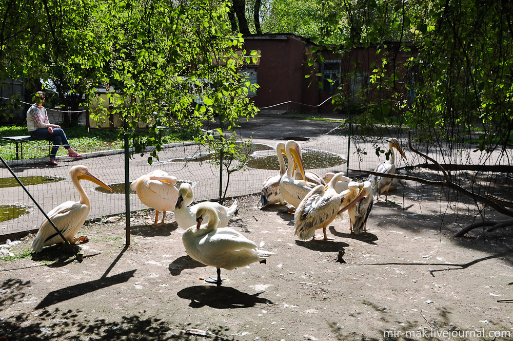 Весна в Одесском зоопарке Одесса, Украина