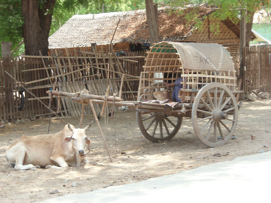 Взбитые сливки Мингуна Мингун, Мьянма