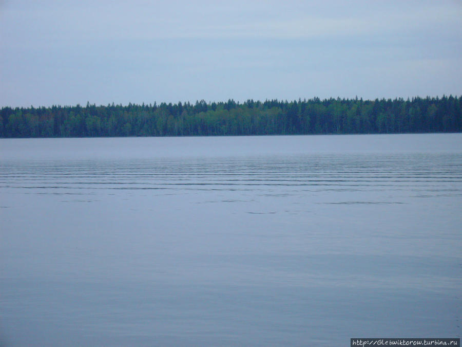 Пиньгуба на Онежском озере Петрозаводск, Россия