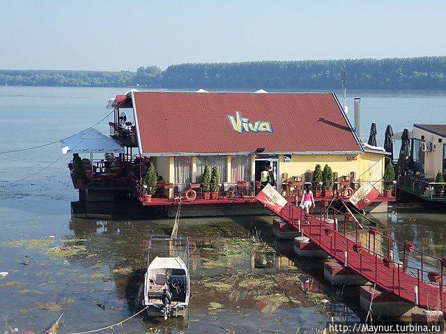 Ресторан на реке Саве. Сербия