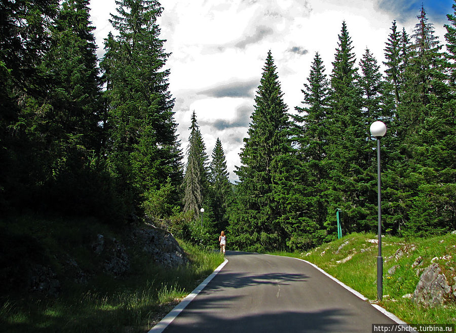 нет желания лазить по горам — прогуляемся по асфальтированной дороге Жабляк, Черногория