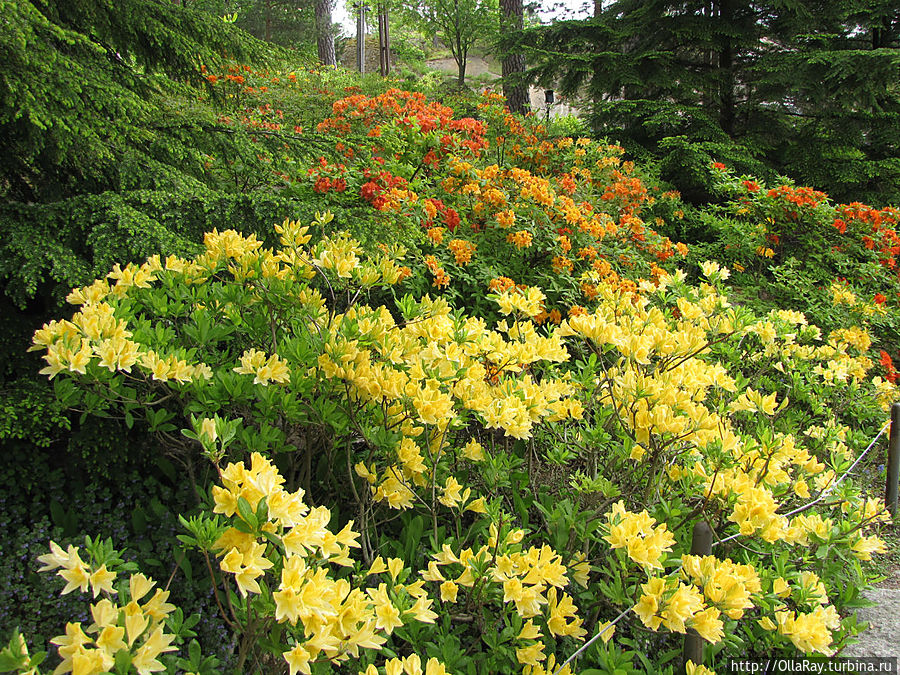 На полдня в Котку Котка, Финляндия На полдня в Котку Котка, Финляндия