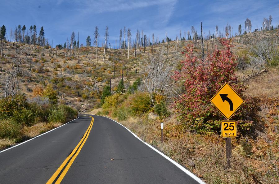 Обратите внимание на торчащие засохшие деревья — это следы лесных пожаров Йосемити Национальный Парк, CША