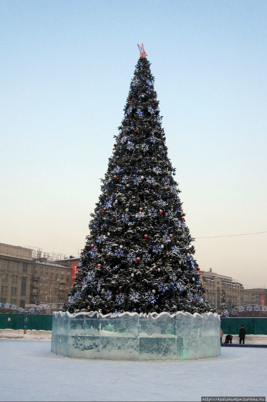 Главная ёлка Новосибирска на площади им.Ленина и каток вокруг нее. Новосибирск, Россия