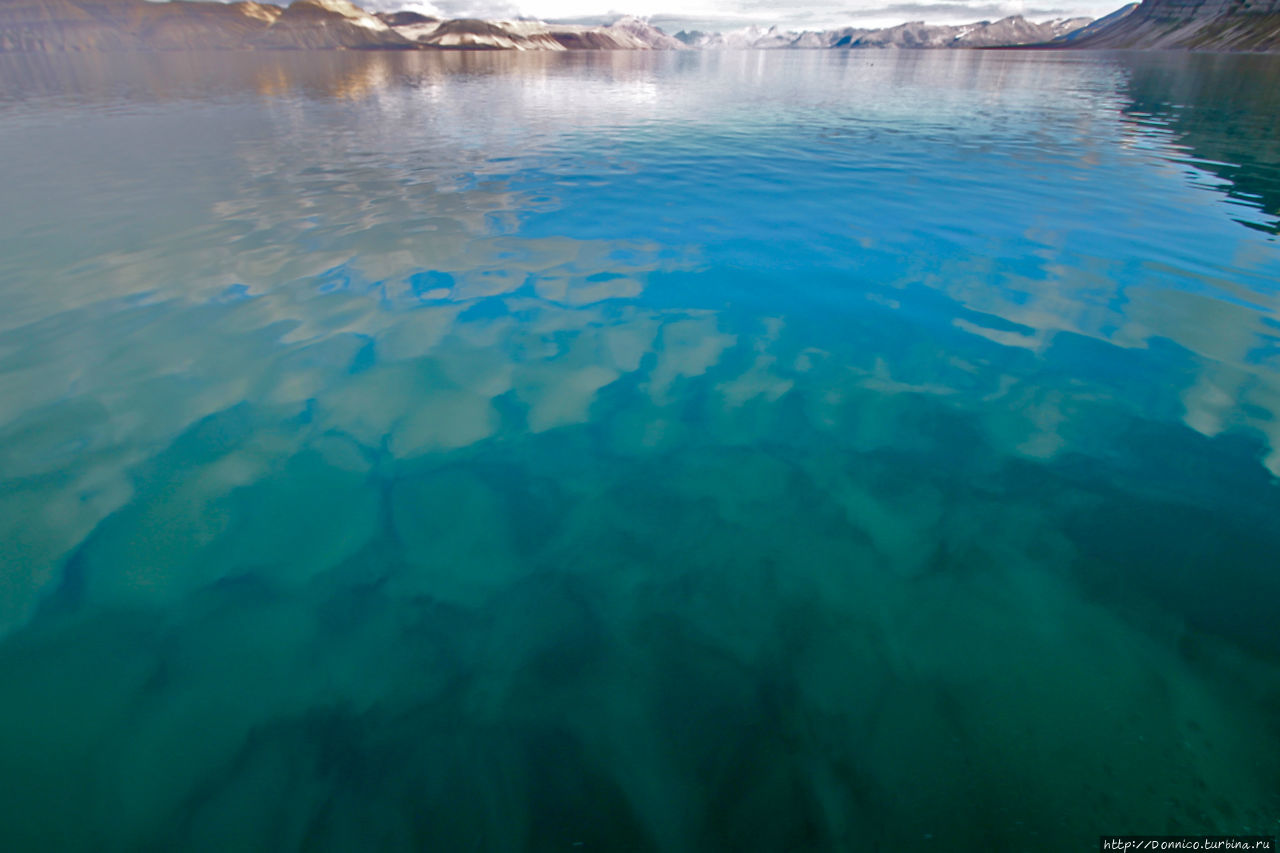 И снились мне тупики, топорики, туканы… Нордре Исфьорден Национальный Парк, Свальбард