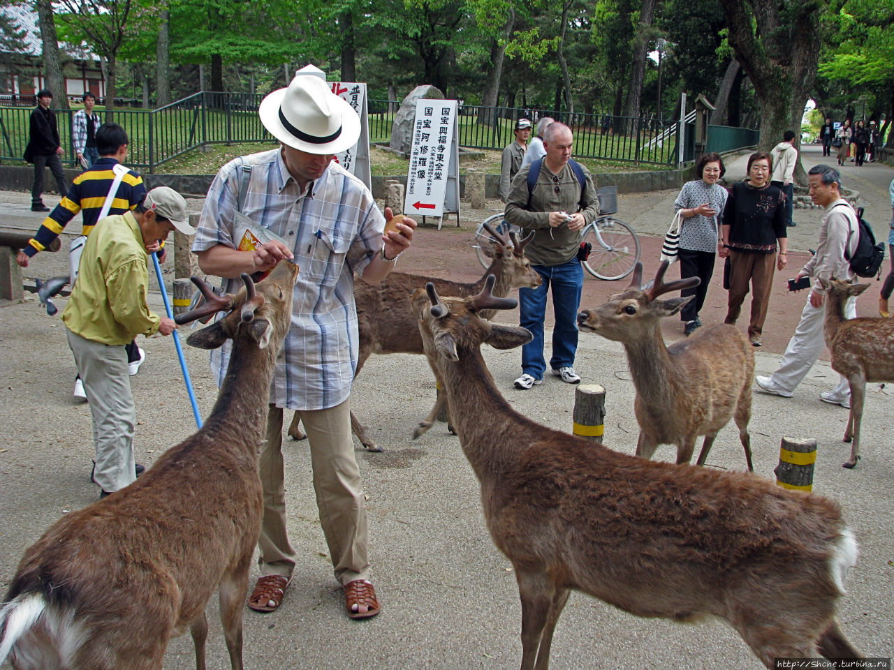 Парк Нара Нара, Япония