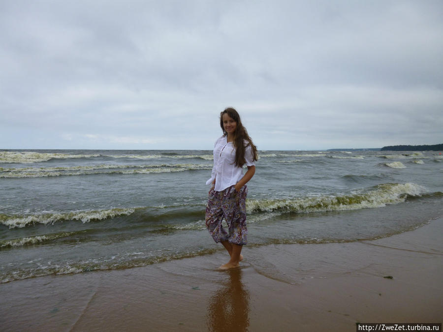 Под соснами Северной Ривьеры Сестрорецк, Россия Под соснами Северной Ривьеры Сестрорецк, Россия