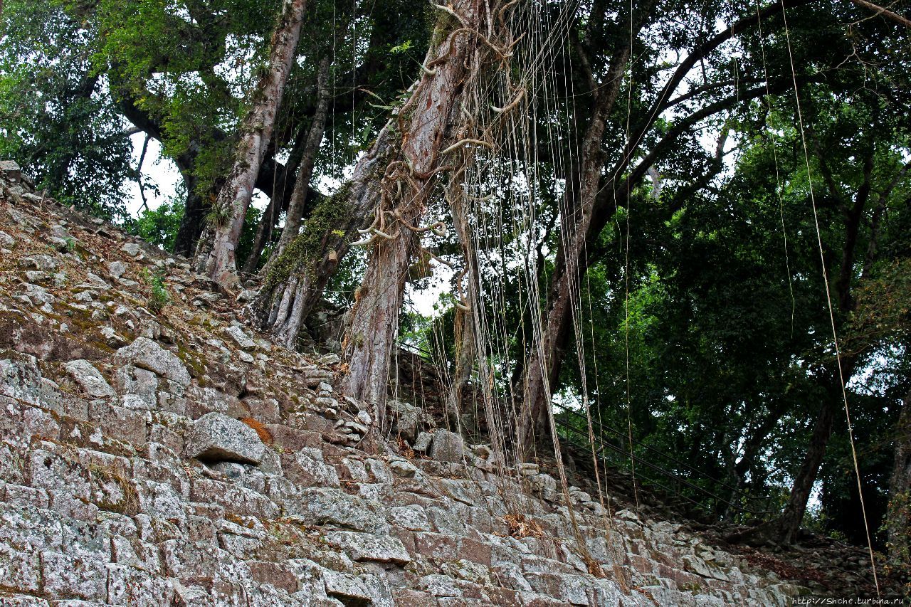Древний город Копан Копан-Руинас, Гондурас