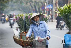 Продавщицы цветов. Вьетнамцам очень свойственно носить маски или вот такие платки на лице. Причем это не всегда продиктовано обилием пыли или выхлопных газов. Думаю, эту загадку я еще разгадаю в процессе написания дальнейших материалов о стране...