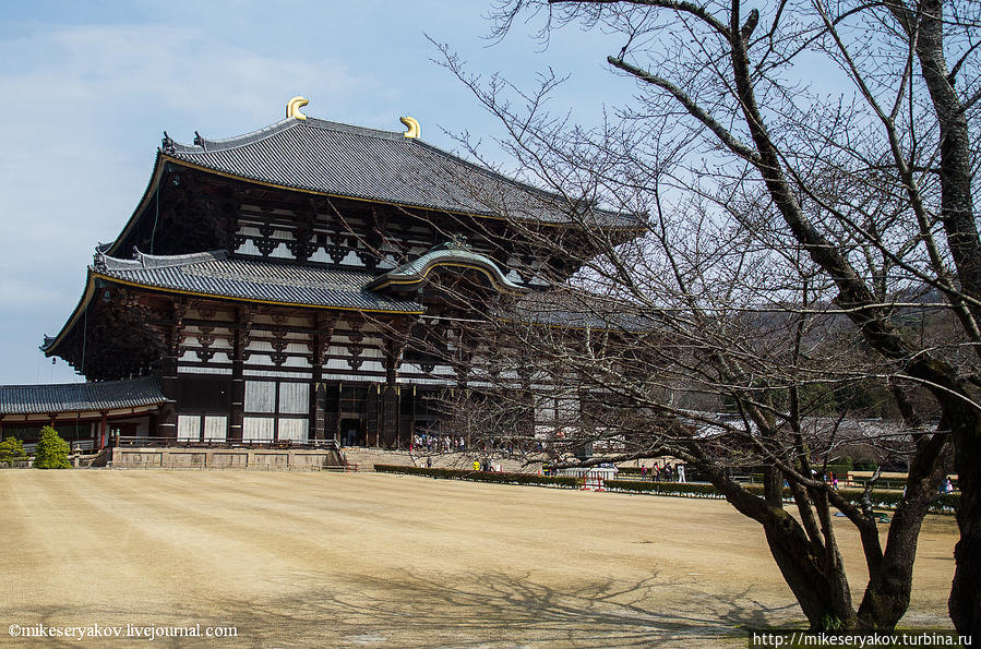 Храм Тодай-Дзи в Наре Нара, Япония