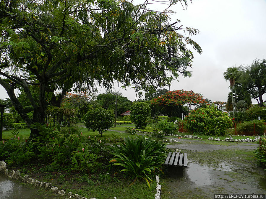 Ботанический сад Джоржтаун, Гайана