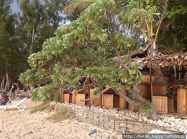 Пляжный Реюньон Реюньон Пляжный Реюньон Реюньон