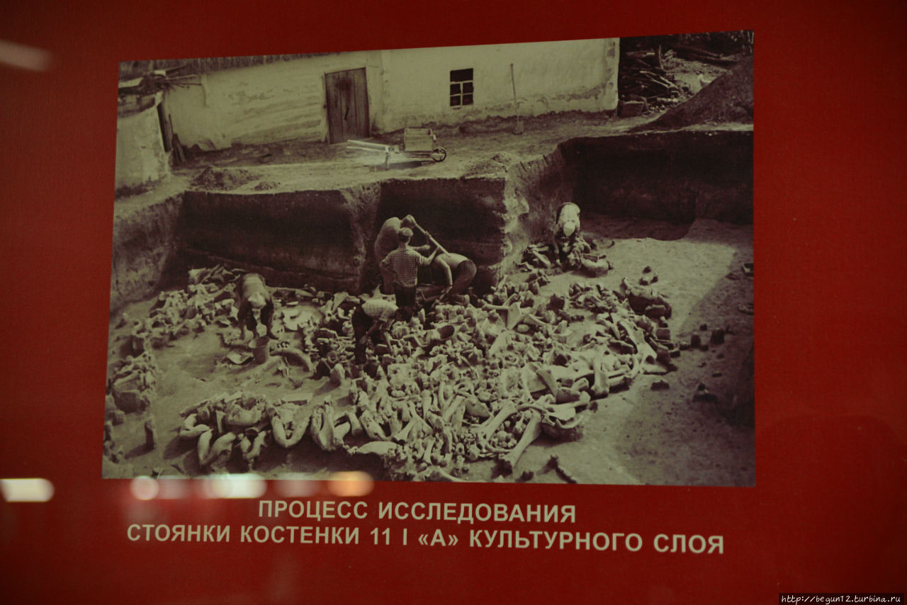 Археологические изыскания в Костёнках Костенки, Россия