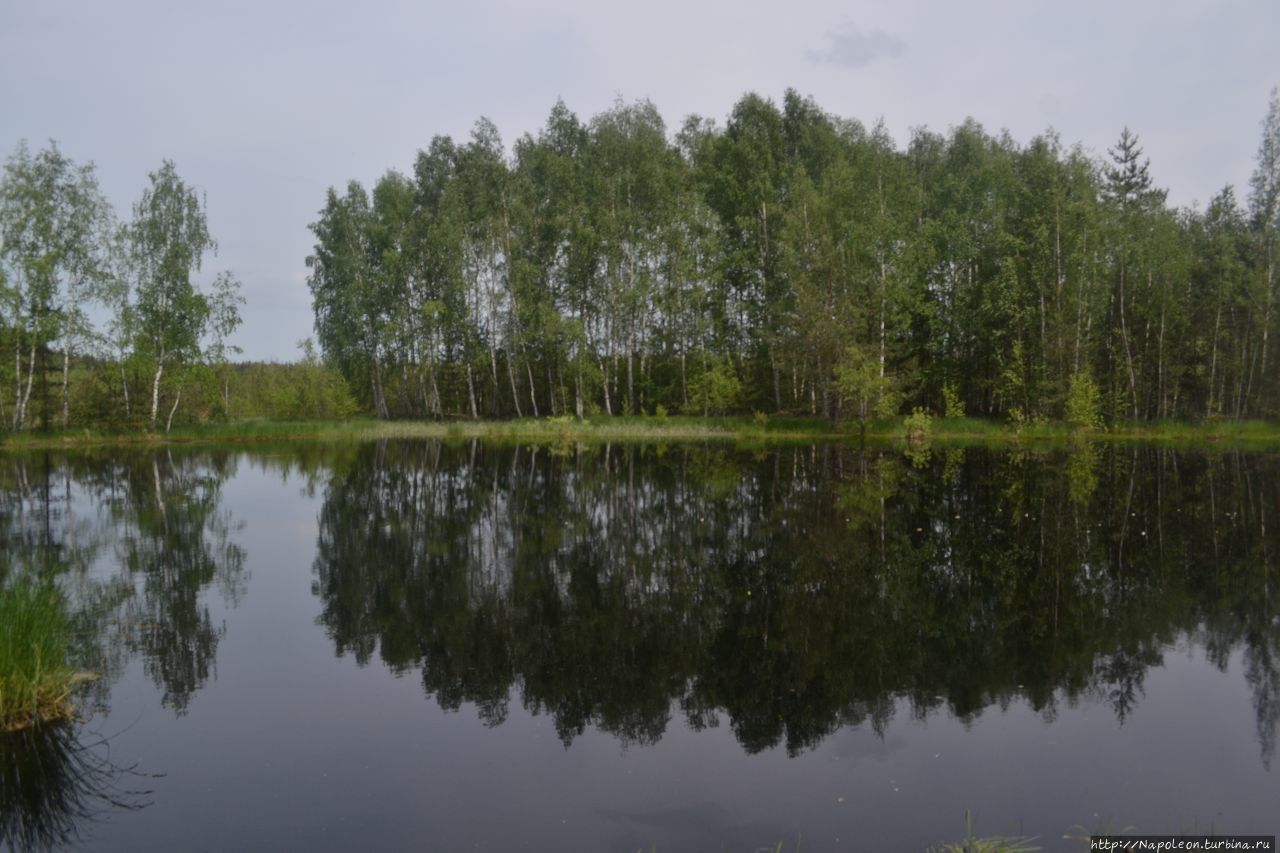 Ханская мечеть Касимов, Россия