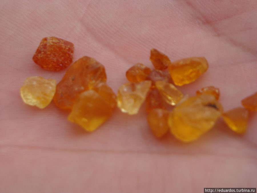 янтарики ))) янтарики )))