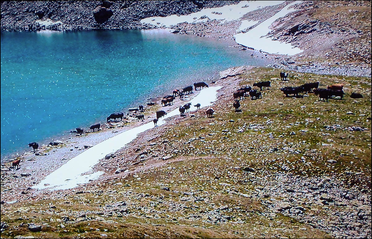 Ледниковый сад Люцерн, Швейцария