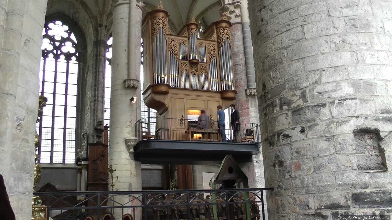 Церковь Святого Николая. Орган. Фото из интернета Гент, Бельгия