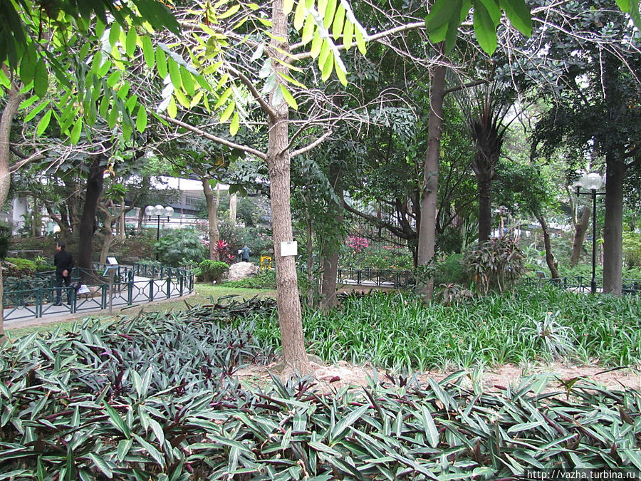 Центральный  парк  Гонконга Гонконг