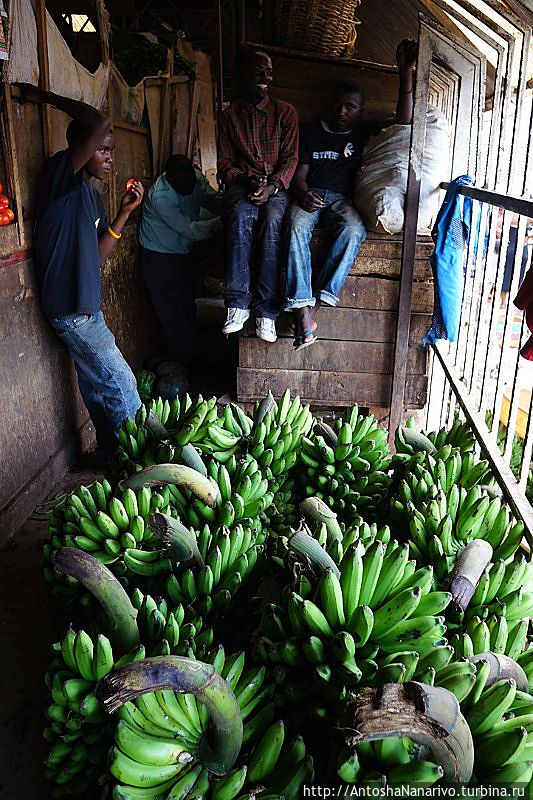 Зеленые бананы. Кигали, Руанда
