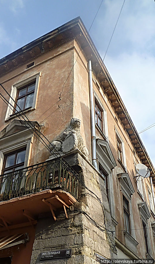 Львовские львы Львов, Украина Львовские львы Львов, Украина