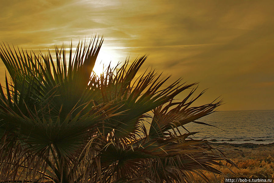 Пафос Пафос