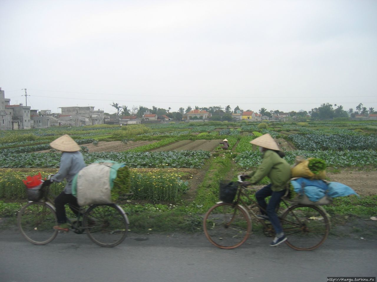 По дорогу в Бухту Ха Лонг Ханой, Вьетнам