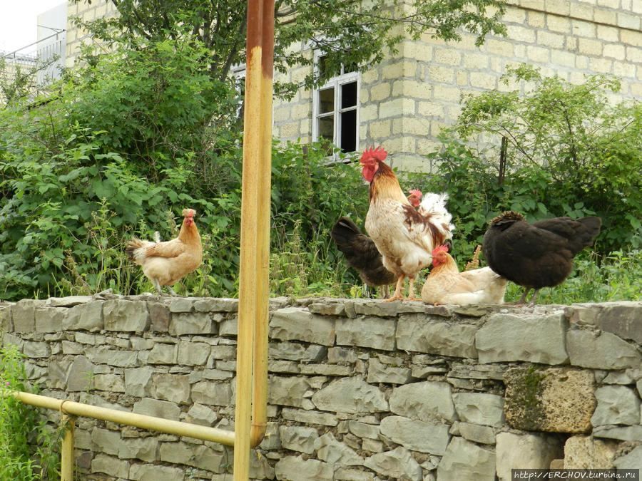 Дагестан. Ч – 4. Экскурсия в Кубачи Кубачи, Россия Дагестан. Ч – 4. Экскурсия в Кубачи Кубачи, Россия