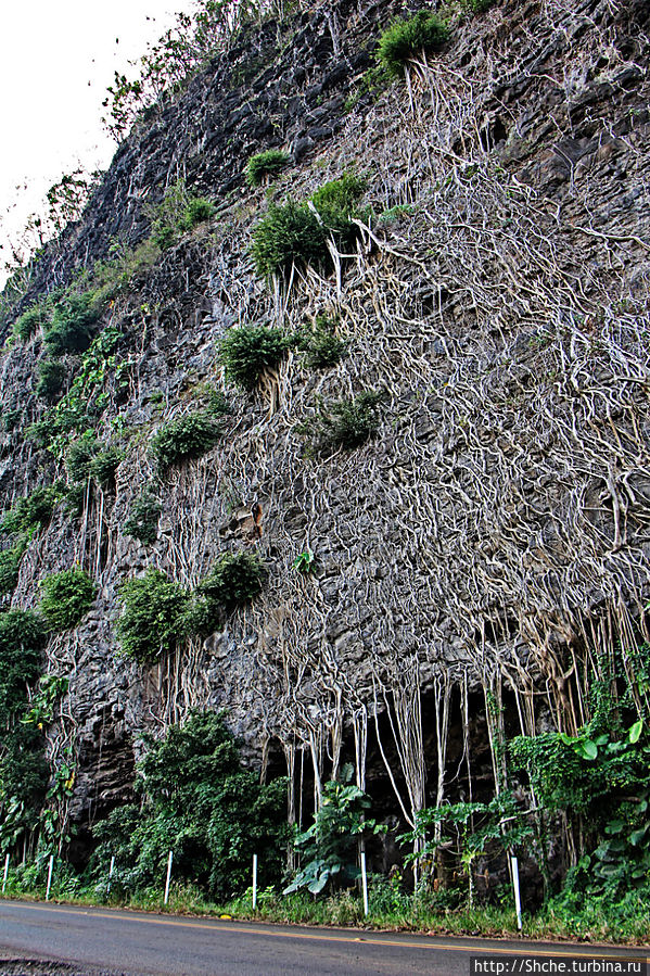 Вертикальные сады парка Вайниха, плюс небольшая пещера