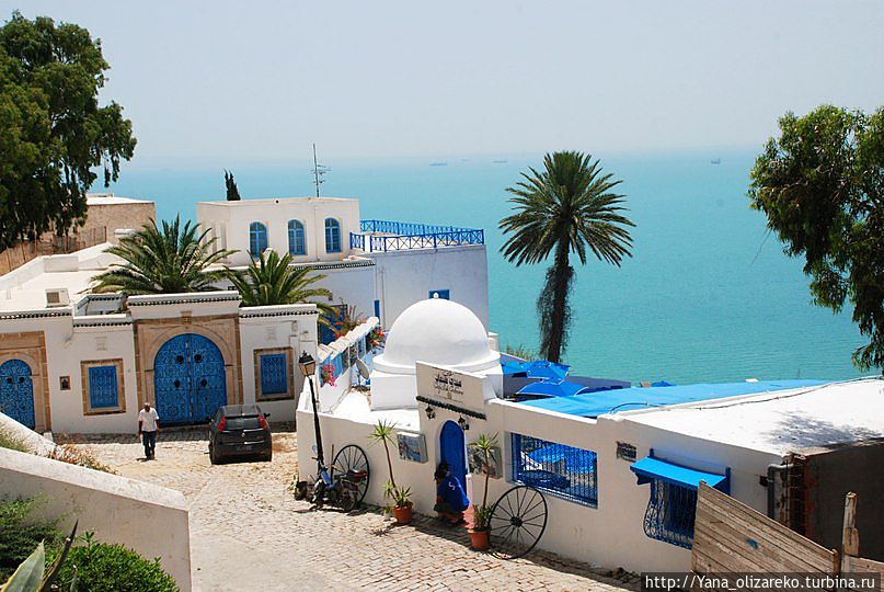 Сиди-бу-Саид Набель, Тунис