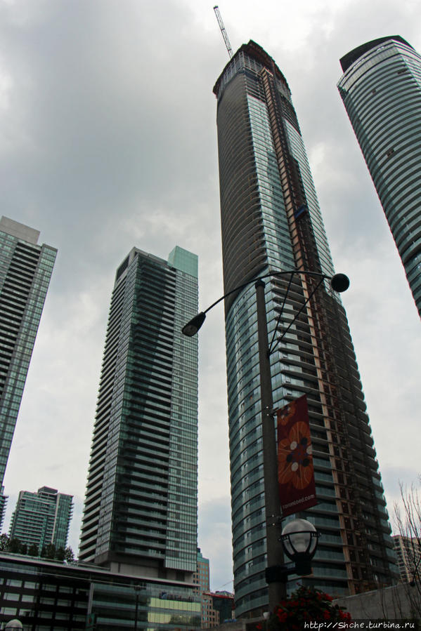 чуть вглубь начинают небоскребы Торонто, Канада