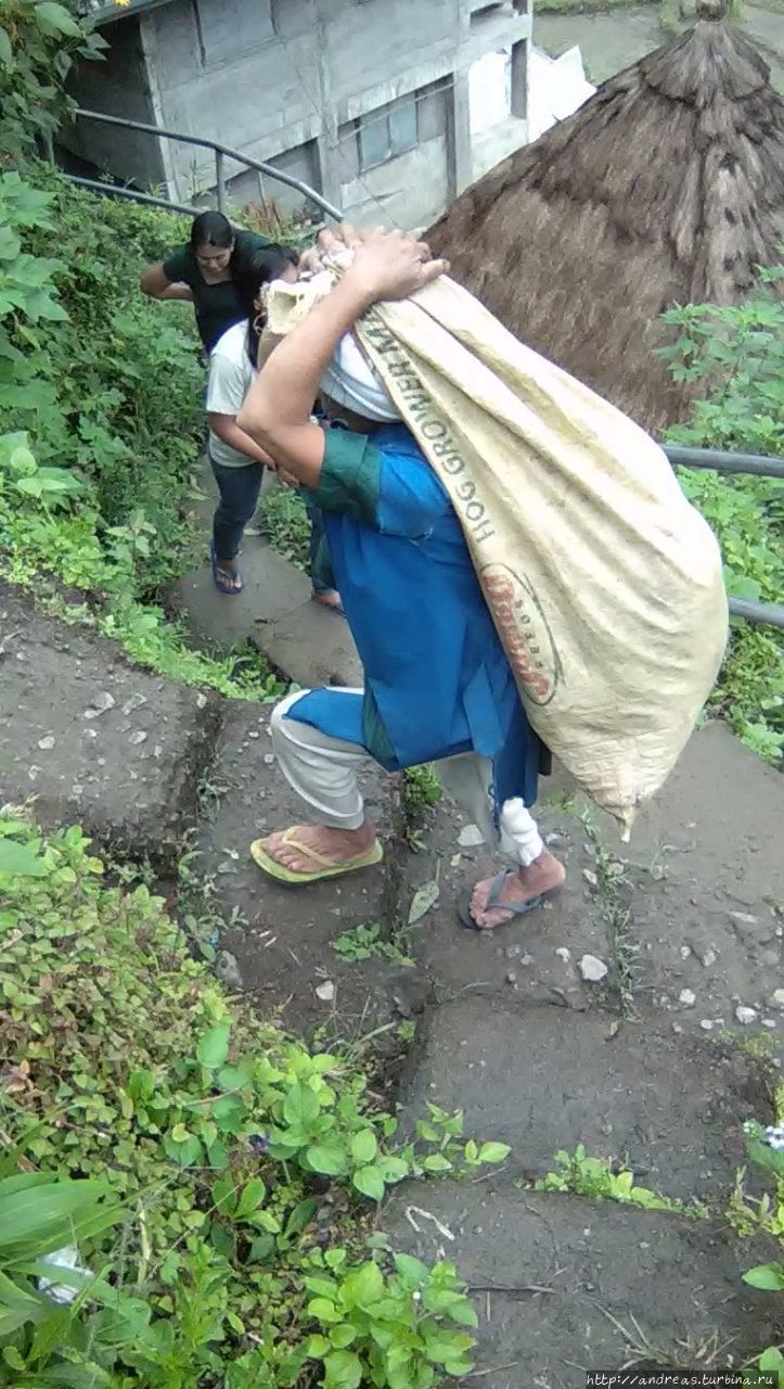 Филиппины — территория контрастов Остров Лусон, Филиппины Филиппины — территория контрастов Остров Лусон, Филиппины