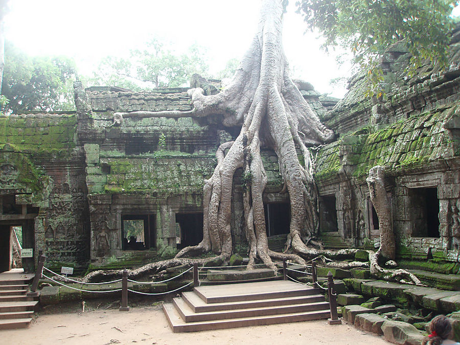 Короли-строители Ангкора Сиемреап, Камбоджа