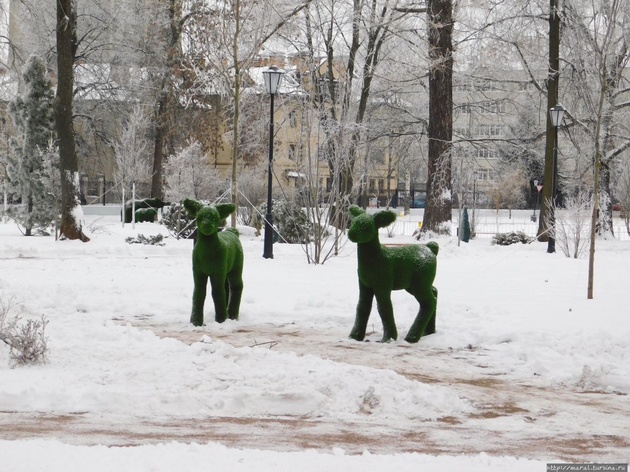 Карякинский сад Рыбинск, Россия