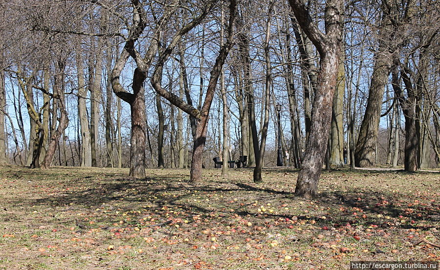 Впрочем, некоторые участки былых заросших садов здесь тоже остались... Минск, Беларусь