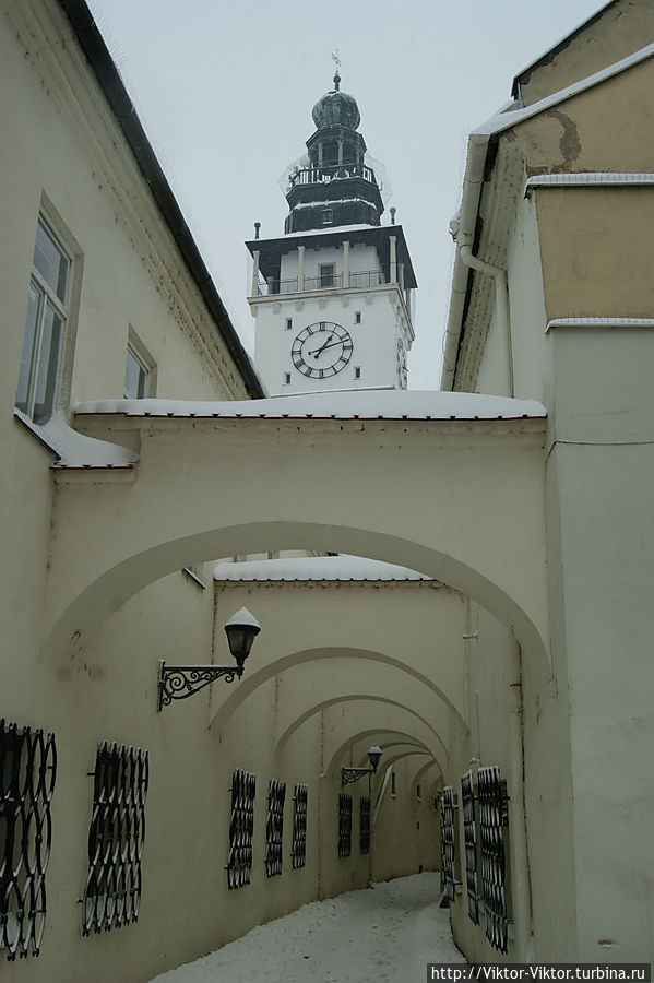 Зимний Вишков Вишков, Чехия