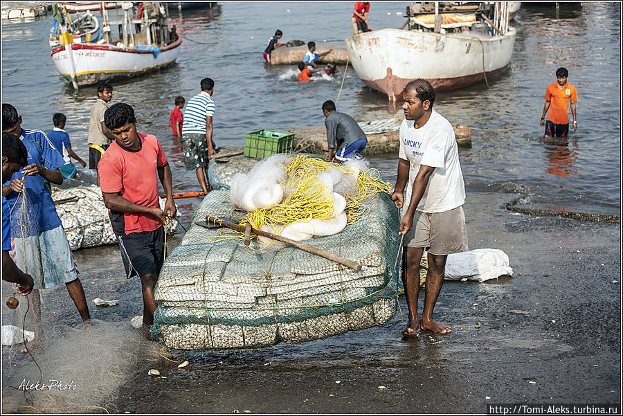 Голь на выдумку хитра...
* Голь на выдумку хитра...
*