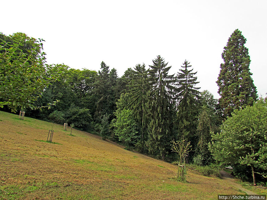 ... встречаем обработанную землю ... встречаем обработанную землю