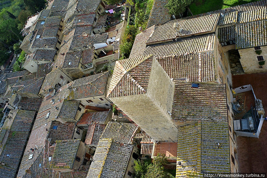 Башня дворца Пеллари Башня дворца Пеллари