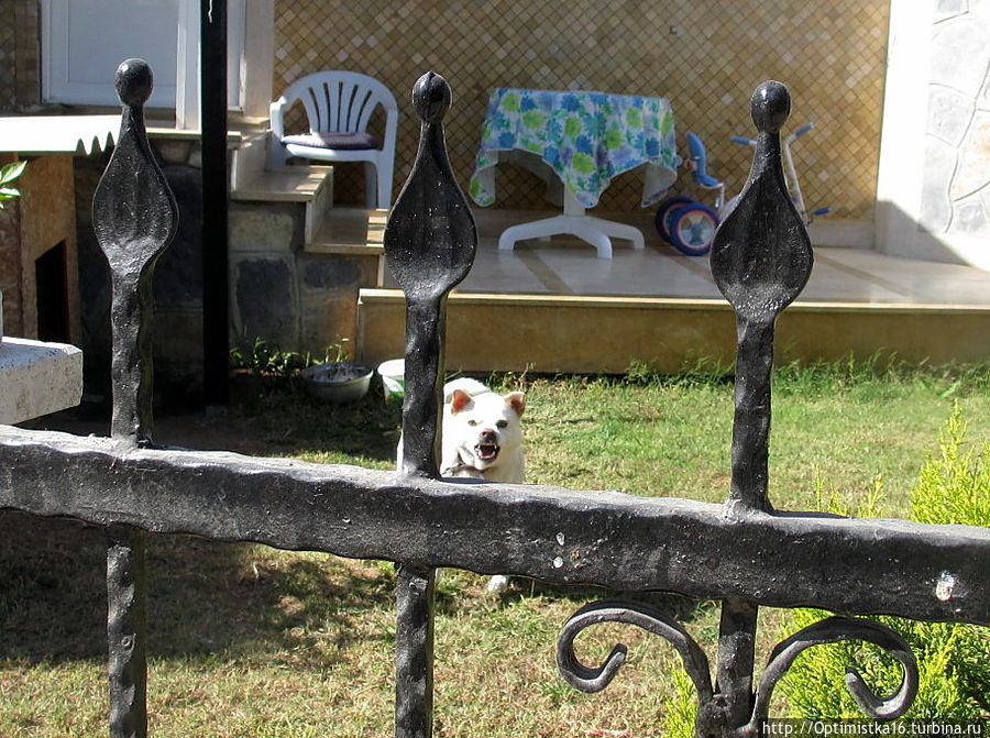 Дидим в конце октября Дидим, Турция Дидим в конце октября Дидим, Турция