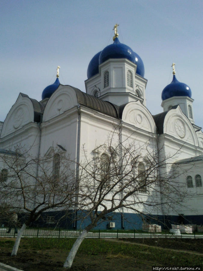 Боголюбово. Монастырь, белокаменный храм и выхухоль Боголюбово, Россия
